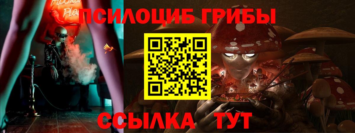 Псилоцибиновые грибы Cubensis  Вход с VPN  Удомля 